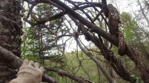 Интересное место 2 часть На природе всё усыпано металлом.Дождь поторопил на выезд