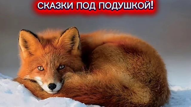 Л.Зубкова "ПОЧЕМУ ЛИСА РЫЖАЯ" смотреть онлайн