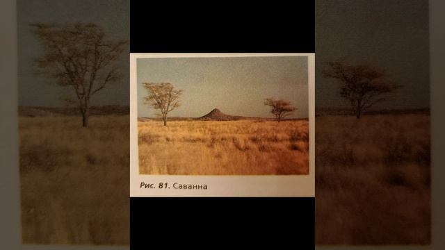 Биология 7 класс. Растительные сообщества.