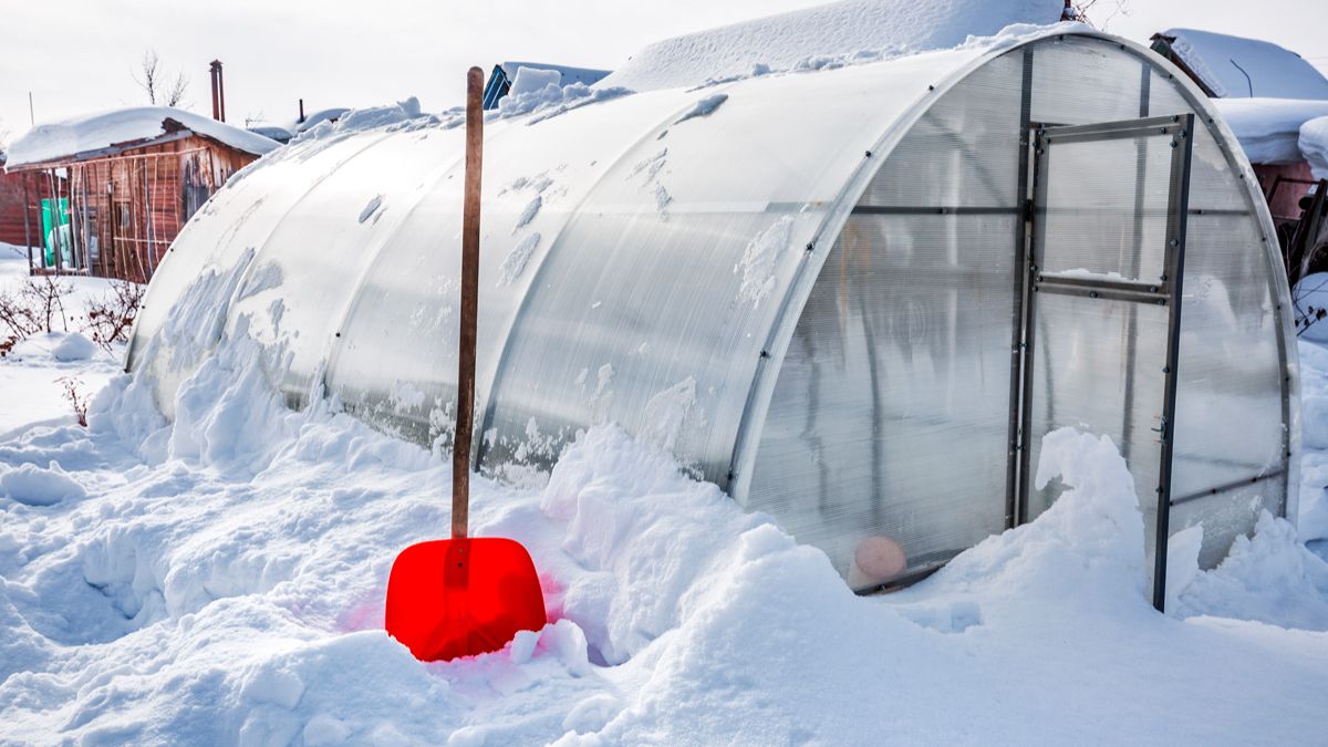 Подготовка теплицы к весне смотреть онлайн