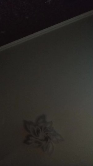 еду в школу