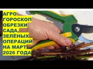 Март 2026: Самые Лучшие Дни для Обрезки Садовых растений и "Зелёных Операций"?!