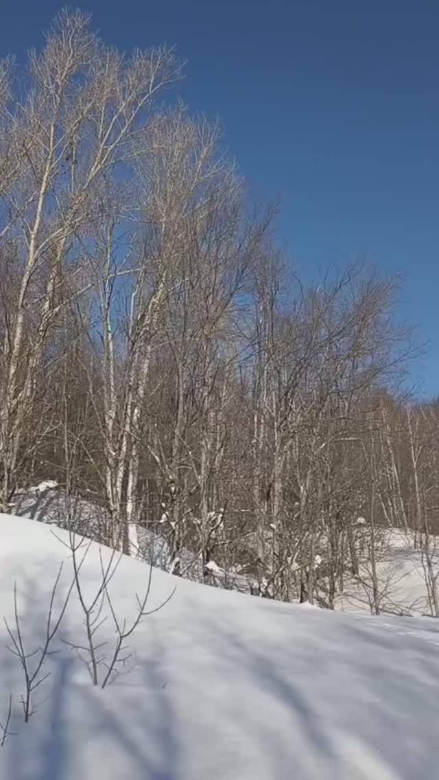 Февраль на Вятке. смотреть онлайн