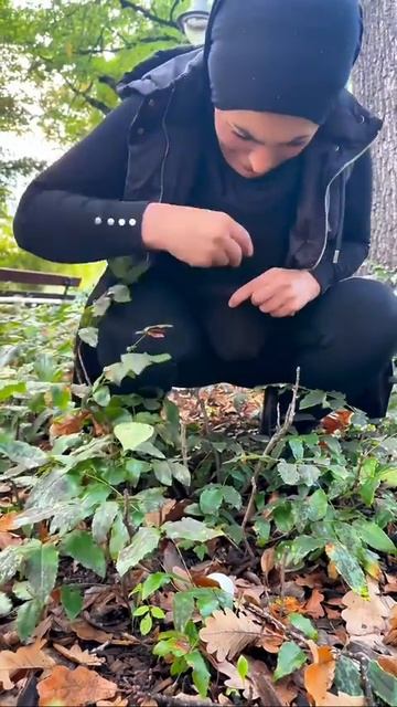 Прикольно смотреть онлайн