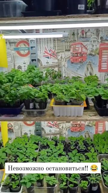 У кого такая же проблема? смотреть онлайн