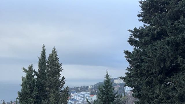 Ялта. На горы и море - можно смотреть бесконечно... 09.02.2026. Крым. Crimea. Yalta. смотреть онлайн