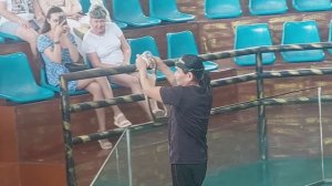 Розовый слон в Зоопарке.Змеиное шоу. Паттайя