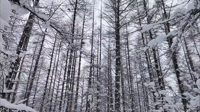 по дороге к грязевому вулкану смотреть онлайн