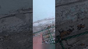 Землетрясение в Краснодарском крае, между Новороссийском и Анапой. 10.02.2026 г.