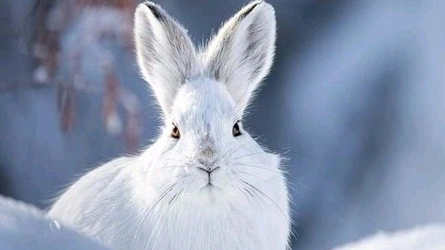 10-02-2026. Деревенские будни . Всем привет 👋 смотреть онлайн