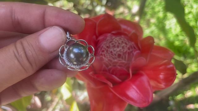 Таитянский жемчуг  о.Таити   февраль 2026