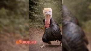 Прикол ии#ии #топ #рейтинг #видео #рутуб #тренд #смех #угар