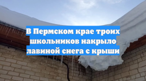 В Пермском крае троих школьников накрыло лавиной снега с крыши