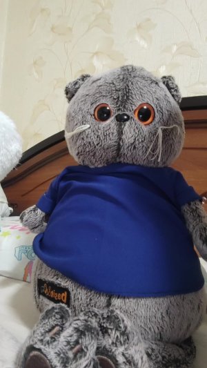 Разговоры с Пухлей!😋❤️🎀🐈⬛