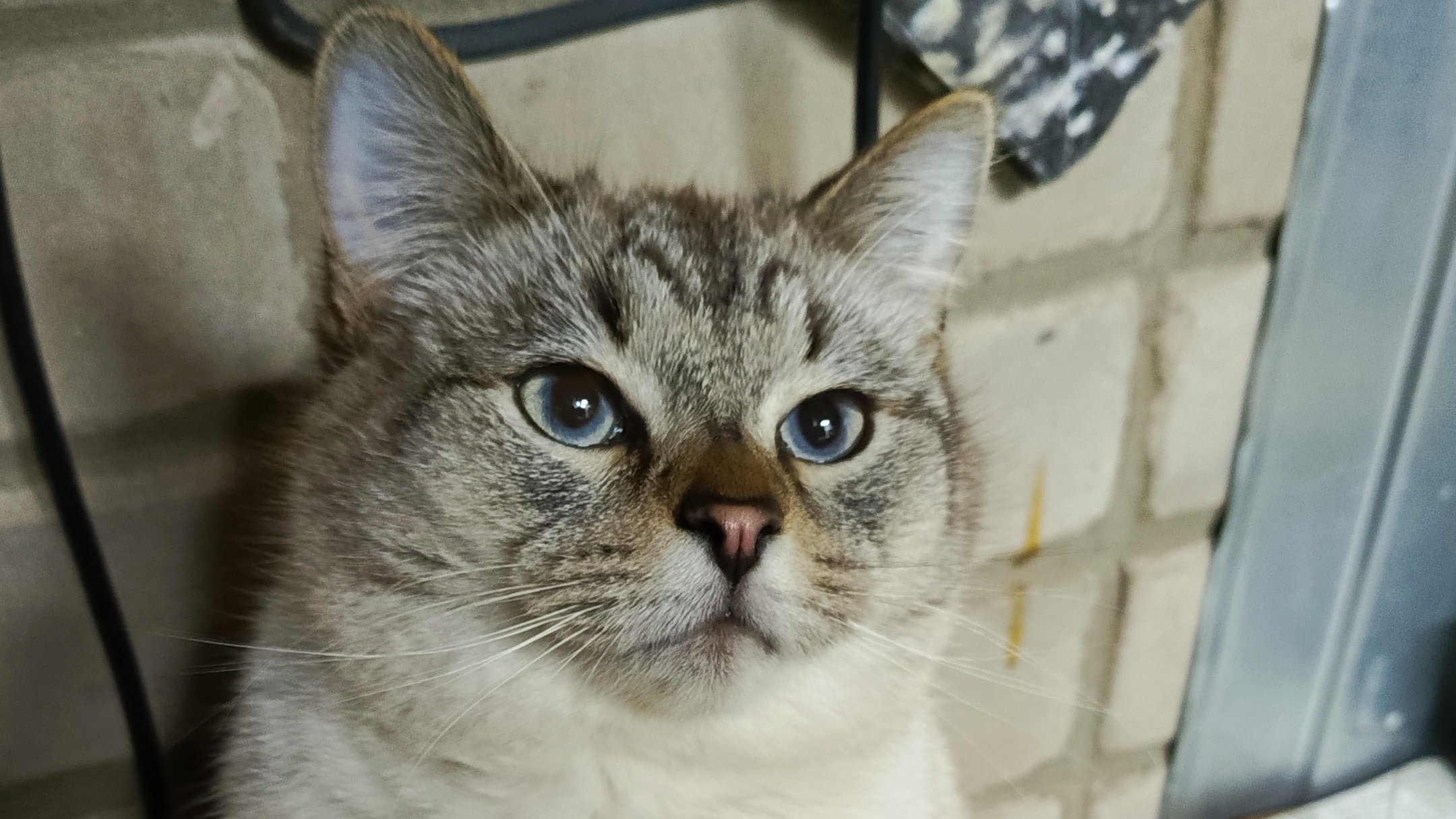 Макс в траншеях🐈⬛🤭😁 смотреть онлайн