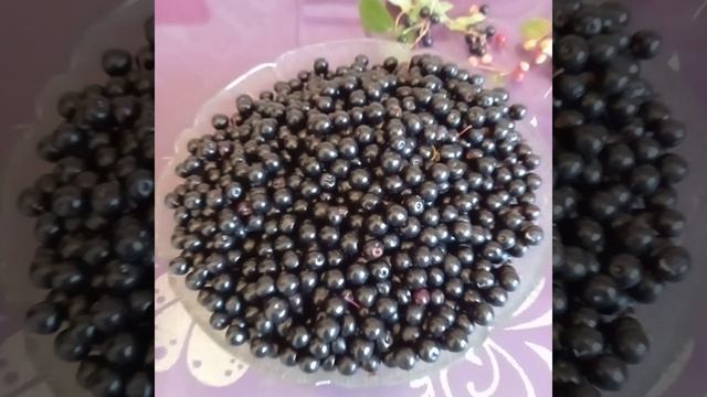 Черемка! смотреть онлайн