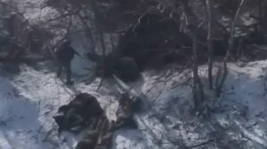 🔴Шесть укрофашистов сдались в плен нашим штурмовикам под Константиновкой🔴