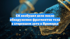 СК возбудил дело после обнаружения фрагментов тела в сгоревшем авто в Приморье