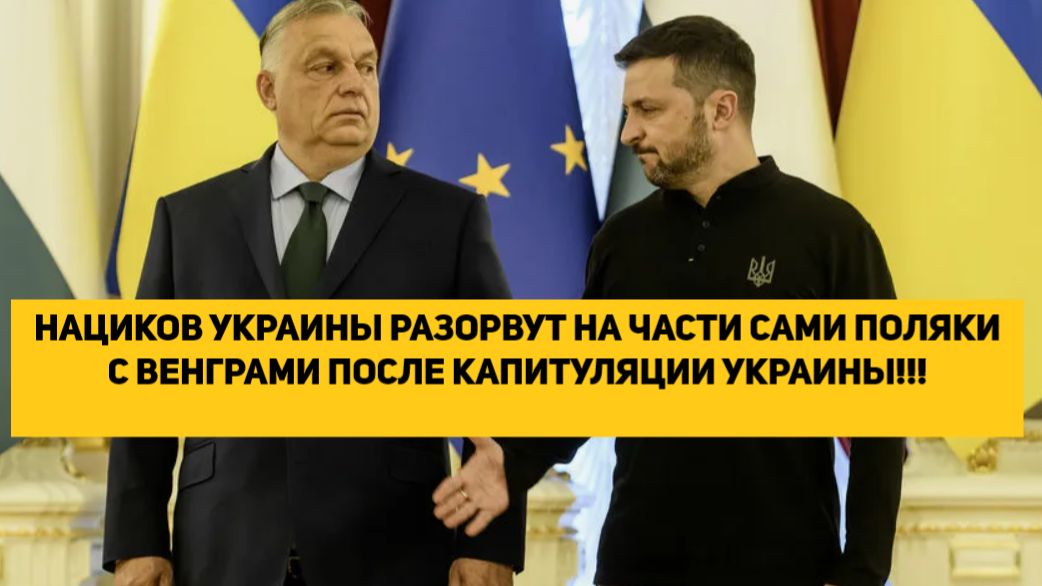 НАЦИКОВ УКРАИНЫ РАЗОРВУТ НА ЧАСТИ САМИ ПОЛЯКИ С ВЕНГРАМИ ПОСЛЕ КАПИТУЛЯЦИИ УКРАИНЫ!!! смотреть онлайн