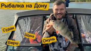 Рыбалка на Дону в сентябре 2025. Наконец-то хищник активизировался