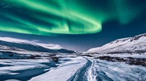 Долгая дорога домой