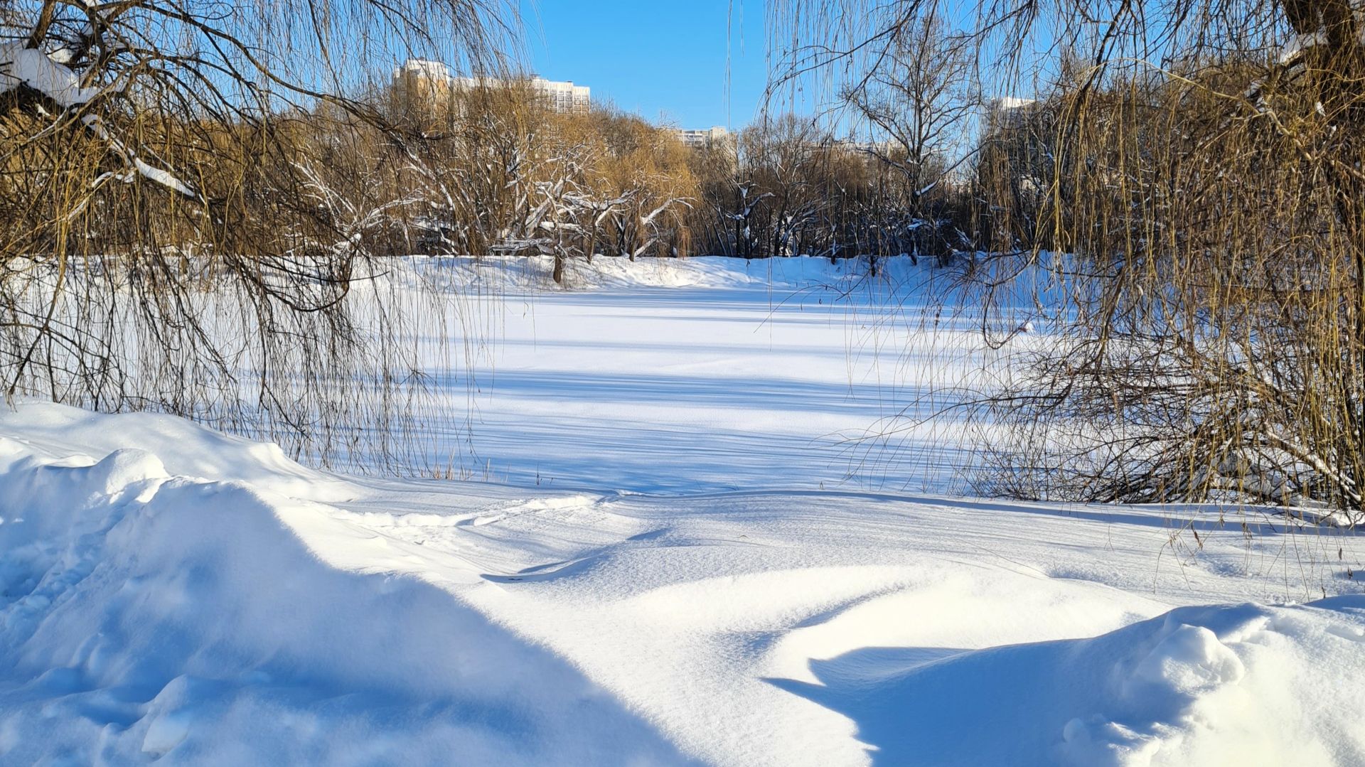 Зимняя прогулка день 30-01-2026