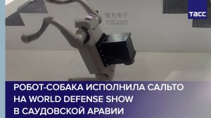 Робот-собака исполнила сальто на World Defense Show в Саудовской Аравии