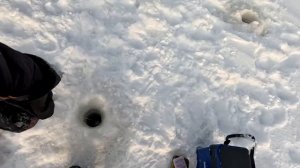 Попал на раздачу, полтора мешка щук и окуней с одной лунки.