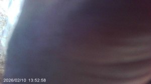 По противопожарной рекомендации работника городской администрации - сжигаю садовый мусор на снегу