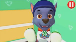 Щенячий Патруль | День в Компании Рокки | Новые Приключения Щенков | Щенячий Патруль Смотреть