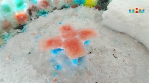 Необычный проект многодетного отца вышел на всероссийский уровень и привлёк широкое внимание