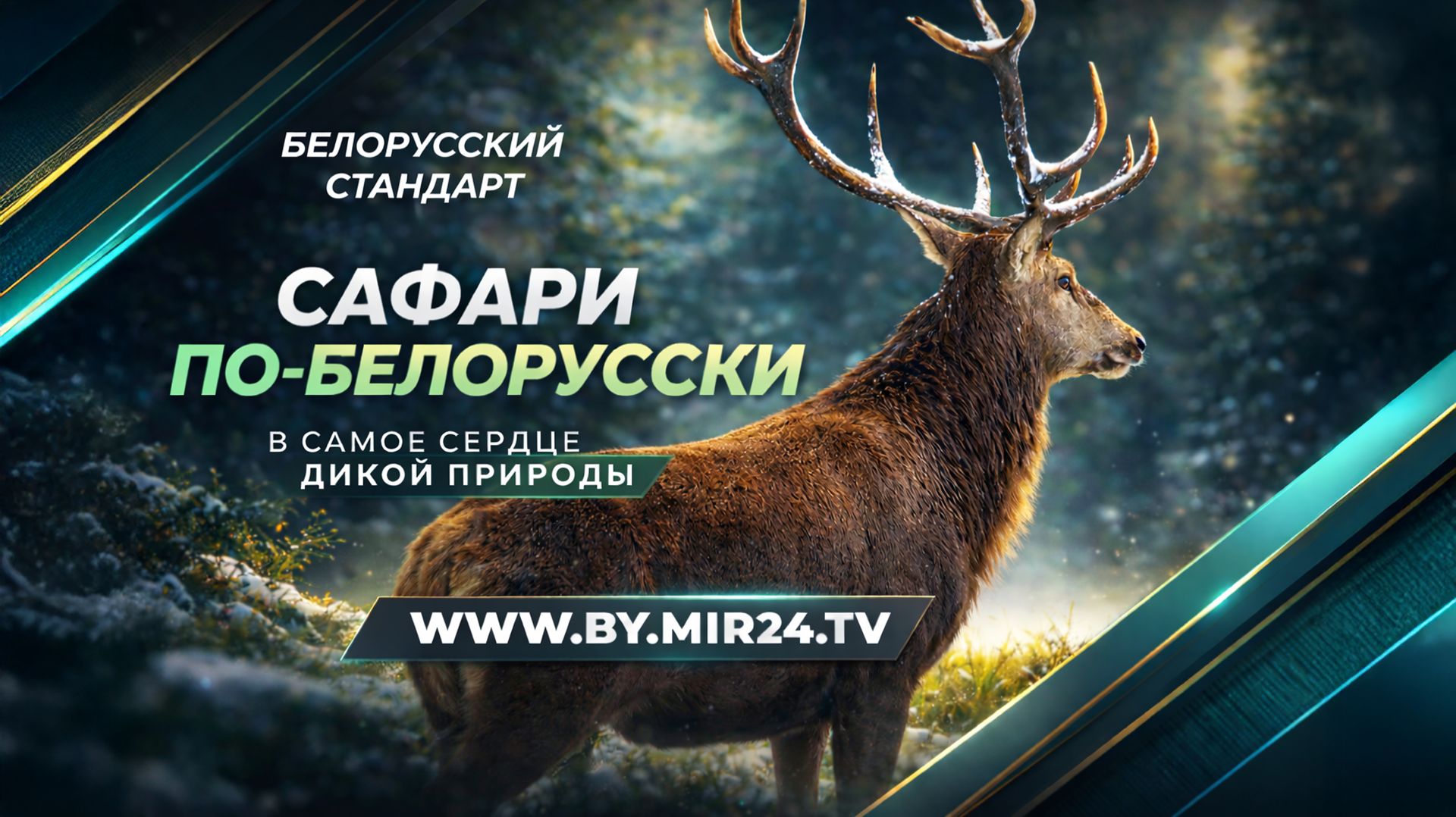 Там, где гуляет зверь: наше путешествие в заповедные края на север Беларуси смотреть онлайн