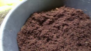 Сравниваю кокосовый субстрат купленный на ОЗОНЕ и в магазине.