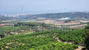 Турция, Мерсин:  Шикарный вид на Мерсин с предгорья  Fındıkpınarı