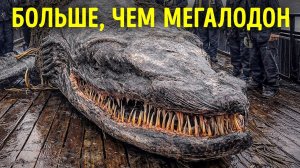 Новый вид морской рептилии стал самым крупным из когда-либо обнаруженных