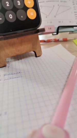 Делаем уроки чек ( хотите сюрприз)?