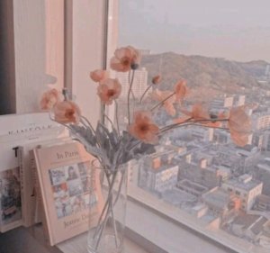 Обзор нового дома тоса боса