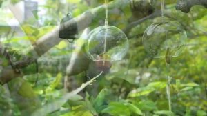 Фурин - традиционный японский колокольчик N1