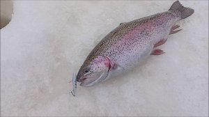 Не ловишь - ты, ловит другой. Рыбалка на спорт зоне. Клёвое место лосиный остров.