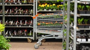 Садовод развеял главные страхи дачников относительно весенней рассады