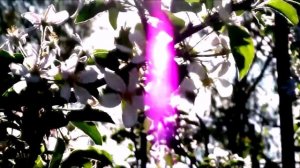 Минувший  май  ВИА Оризонт