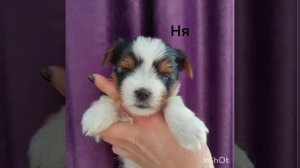 больше 300 подписчиков уряяяя