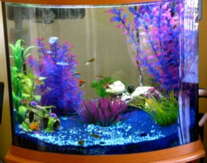 начинаю сереал