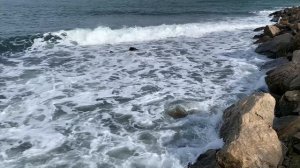 Феодосия в Чёрном море