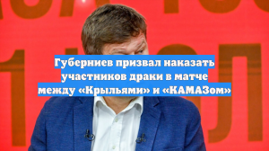 Губерниев призвал наказать участников драки в матче между «Крыльями» и «КАМАЗом»