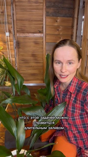 Вредные советы. Аспидистра! смотреть онлайн