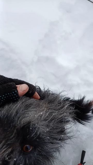 509.mp4 смотреть онлайн