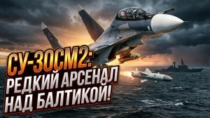 ⚡🤯 Неожиданный ход ВКС РФ: Зачем Су-30СМ2 несут Х-31 и РБК-500 вместе?