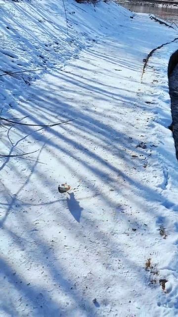 Плотва на спиннинг смотреть онлайн