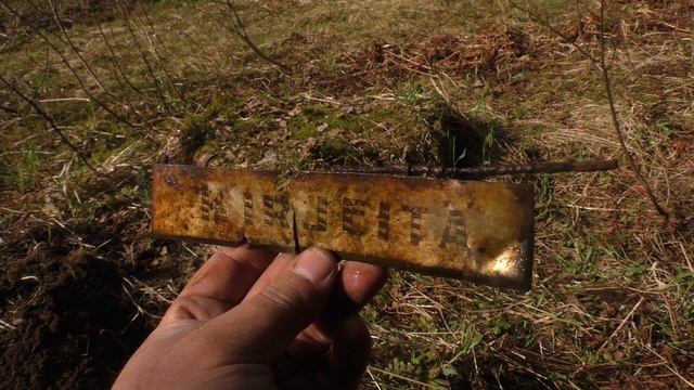 Коп по войне. Лес не отдал свои секреты. Но мы нашли их .. смотреть онлайн